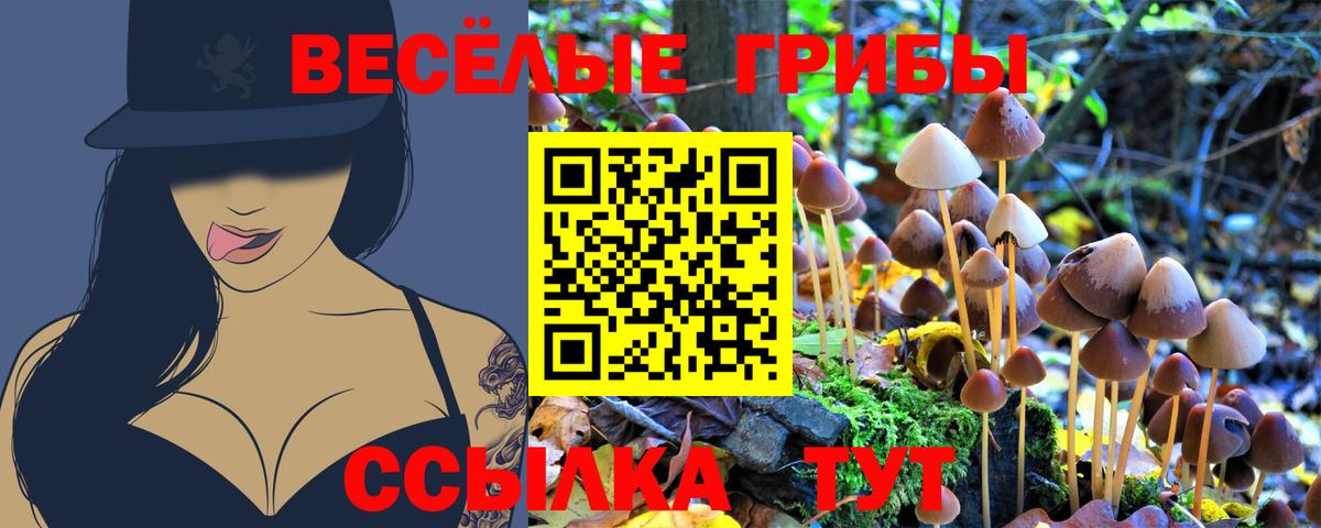 Псилоцибиновые грибы ЛСД  Вход с VPN  Псилоцибиновые грибы Psilocybine cubensis  Канск 