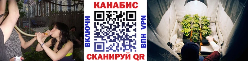 Марихуана Bruce Banner Канск