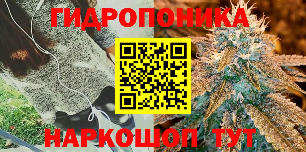 Канабис гибрид  Шишки марихуана план  Шишки марихуана LSD WEED  Канск  Бошки Шишки тримм  Вход с VPN 